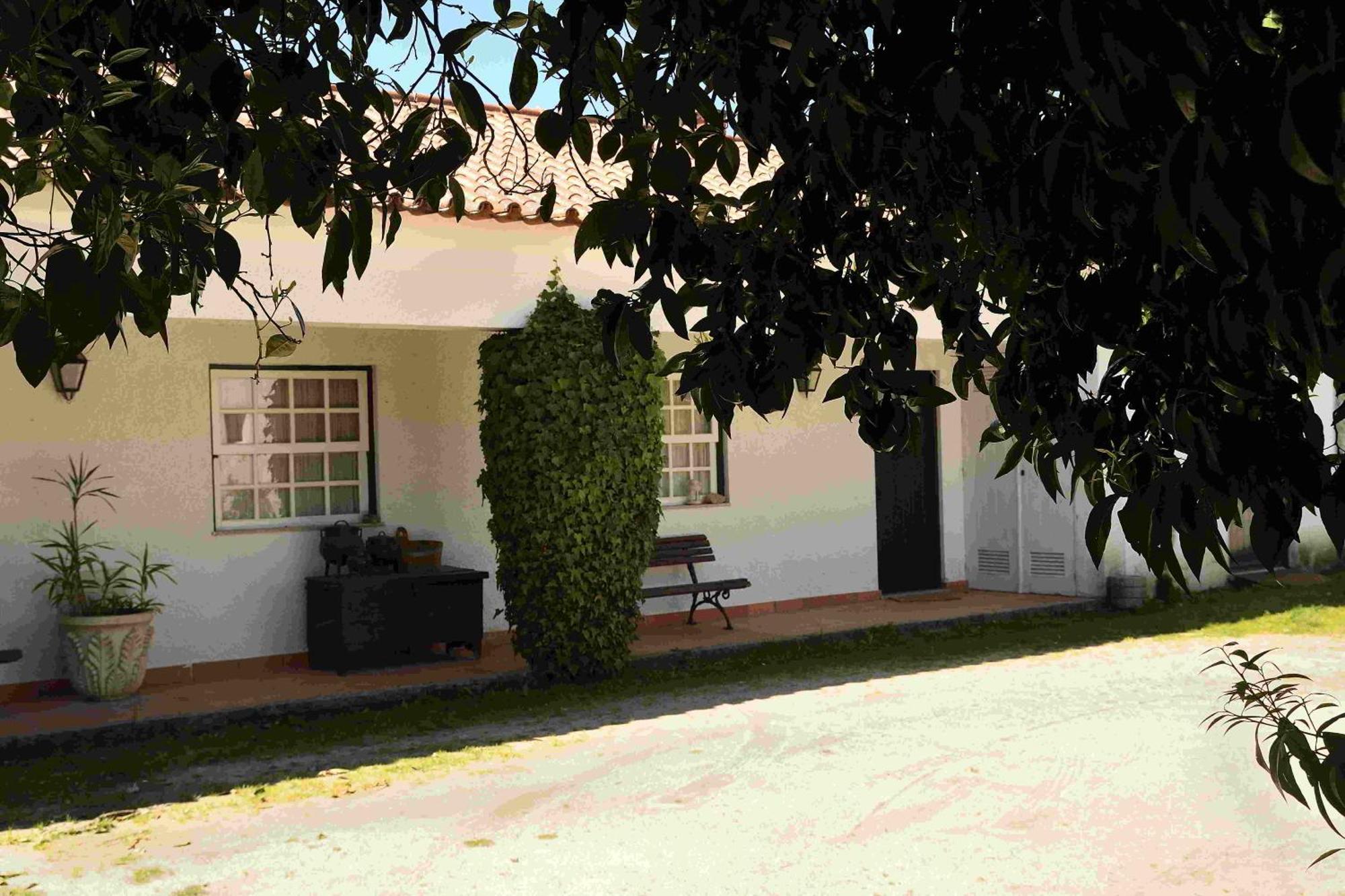 Quinta Da Fata Villa Nelas Exteriör bild